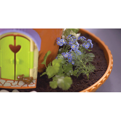 Научный набор Волшебный домик и сад феи от PlayMonster