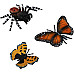 Развивающий набор фигурки Жуки и насекомые (12 шт) от Toymany