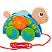 Розвиваюча іграшка каталка Черепаха від Viga Toys