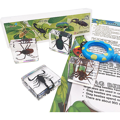 Науковий STEM набір Жуки комахи (4 шт) від WhizKidsLab