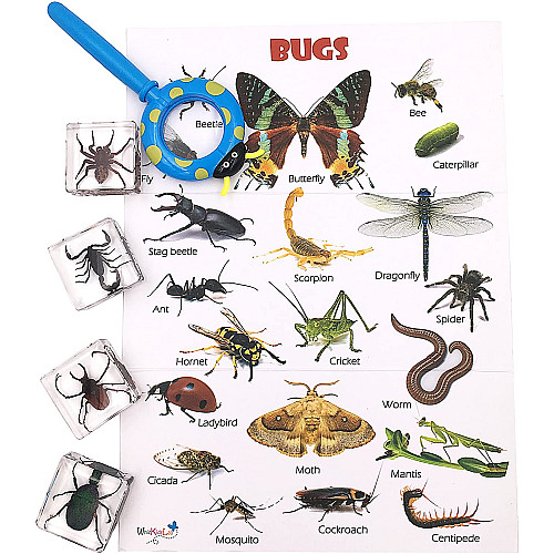 Науковий STEM набір Жуки комахи (4 шт) від WhizKidsLab