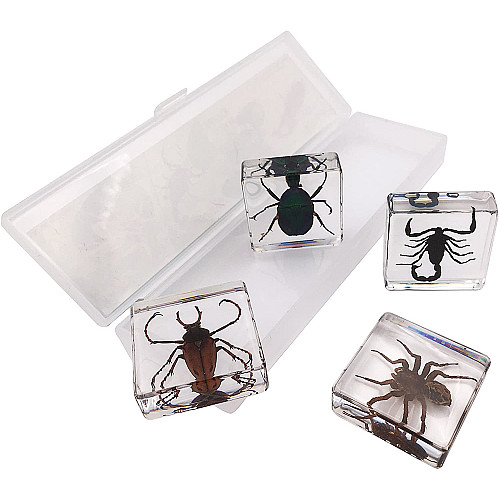 Научный STEM набор Жуки насекомые (4 шт) от WhizKidsLab