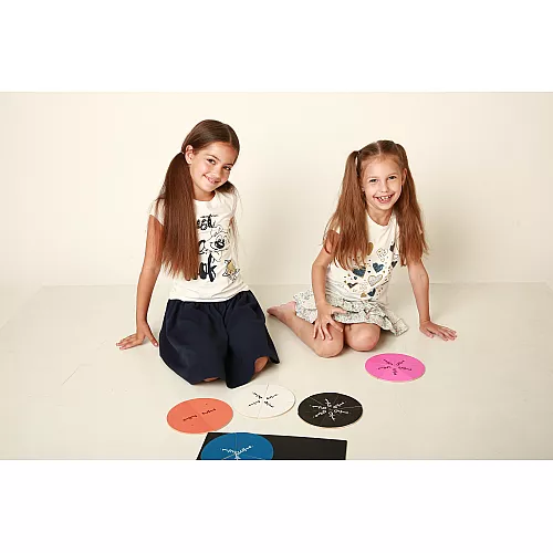 Обучающий магнитный набор Части целого (20 шт) от Hega