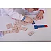 Развивающая дидактическая игра Сенсорное домино (30 шт) от Hega