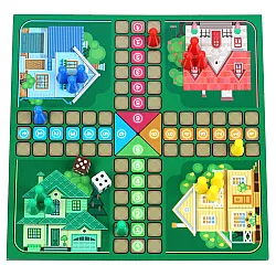 Развивающая магнитная игра Лудо