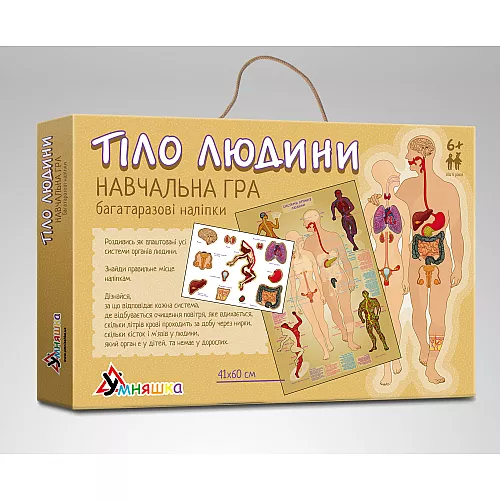 Развивающий набор с многоразовыми наклейками Тело человека (39 шт)