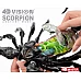 Анатомическая модель Скорпион (29 деталей) от 4D Master