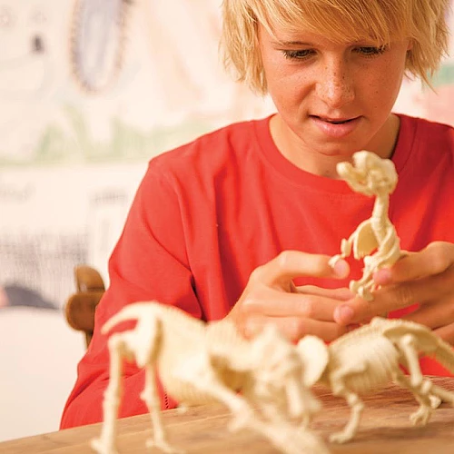 Науковий STEM набір Скелет брахіозавра від 4M