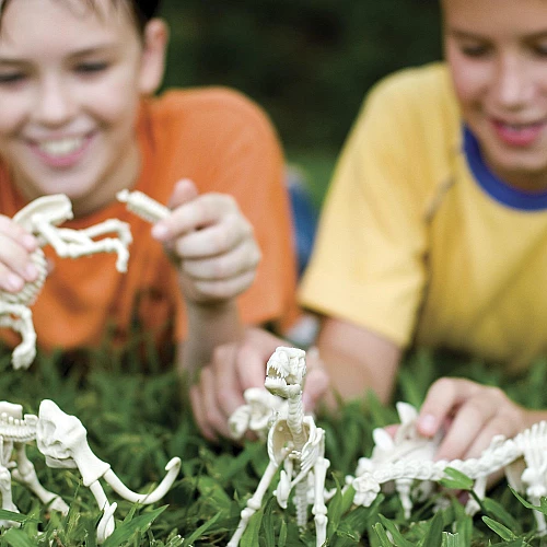 Научный STEM набор Велоцираптор от 4M