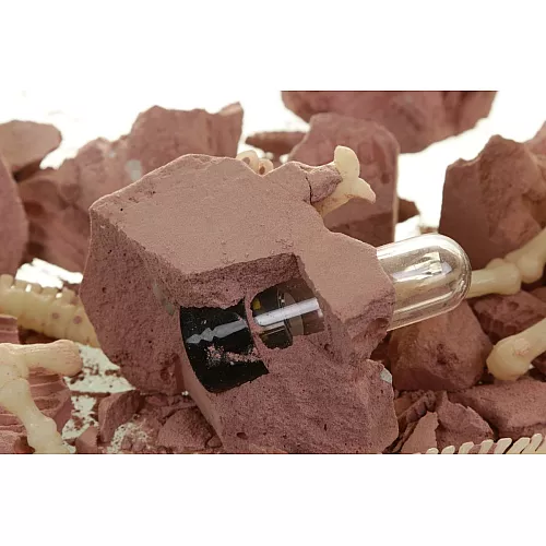 Науковий STEM набір ДНК Стегозавра від 4M