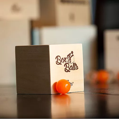 Логическая игрушка Коробки и мячики от Fat Brain Toys Логическая игрушка Коробки и мячики от Fat Brain Toys