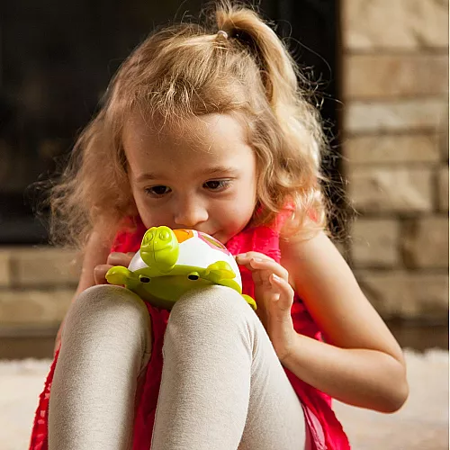 Сенсорная игрушка Черепашка от Fat Brain Toys Сенсорная игрушка Черепашка от Fat Brain Toys