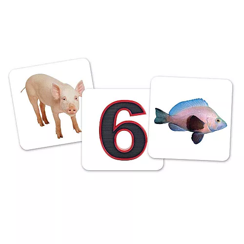 Сортировочный набор Совы (6 шт) от Learning Resources Сортировочный набор Совы (6 шт) от Learning Resources