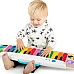 Музыкальная игрушка Синтезатор от Baby Einstein