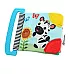 Розвиваюча книжка прорізувач для зубів від Baby Einstein