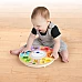 Музыкальная игрушка Веселый кружочек от Baby Einstein
