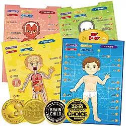 Обучающий интерактивный набор плакатов Мое тело (4 шт) от BEST LEARNING