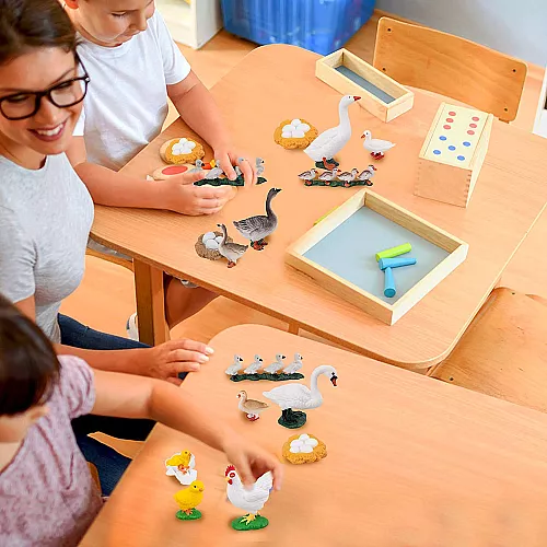 Развивающий набор Циклы жизни домашних птиц (4 вида) от Toymany Развивающий набор Циклы жизни домашних птиц (4 вида) от Toymany