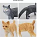 Развивающий набор мини фигурки Серые и рыжие кошки (8 шт) от Toymany