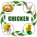 Развивающий набор Циклы жизни (4 вида)