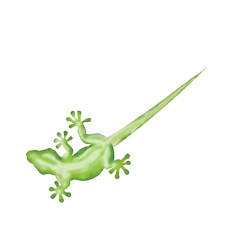 Науковий набір STEM Нано лабораторія від WILD! Науковий набір STEM Нано лабораторія від WILD!