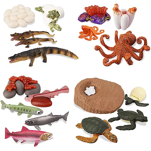 Развивающий набор фигурки Жизненный цикл морских животных (17 шт) от Toymany Развивающий набор фигурки Жизненный цикл морских животных (17 шт) от Toymany