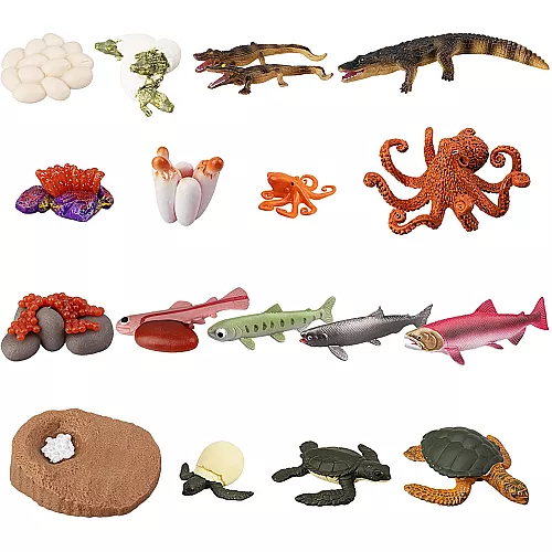 Развивающий набор фигурки Жизненный цикл морских животных (17 шт) от Toymany Развивающий набор фигурки Жизненный цикл морских животных (17 шт) от Toymany