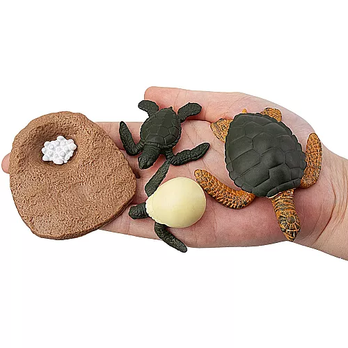 Развивающий набор фигурки Жизненный цикл морских животных (17 шт) от Toymany Развивающий набор фигурки Жизненный цикл морских животных (17 шт) от Toymany