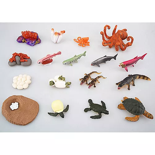 Развивающий набор фигурки Жизненный цикл морских животных (17 шт) от Toymany Развивающий набор фигурки Жизненный цикл морских животных (17 шт) от Toymany