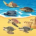 Розвиваючий набір фігурки Черепахи (6 шт) від Toymany