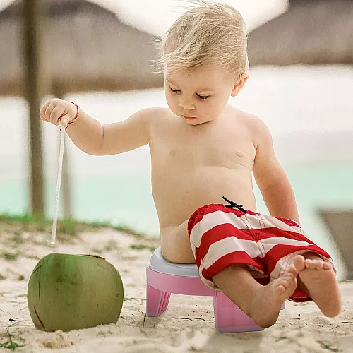 Навчальний дитячий горщик туалет для подорожей від Fisher-Price Навчальний дитячий горщик туалет для подорожей від Fisher-Price