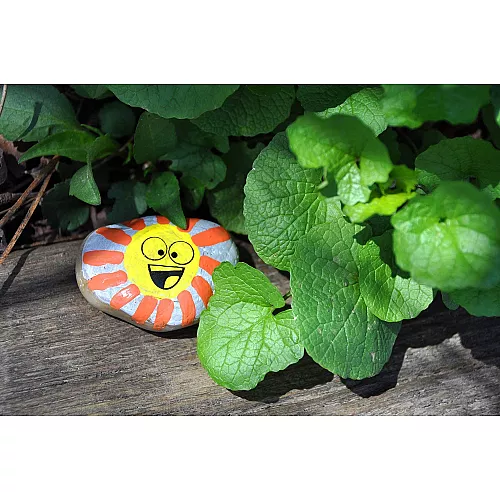 Набір для творчості Розфарбовуємо камені від Creativity for Kids Набір для творчості Розфарбовуємо камені від Creativity for Kids
