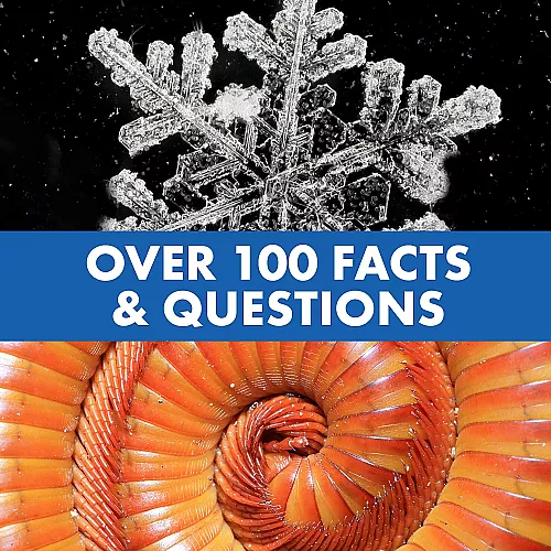 Обучающий STEM набор Говорящий микроскоп со слайдами (20 шт) от Educational Insights Обучающий STEM набор Говорящий микроскоп со слайдами (20 шт) от Educational Insights