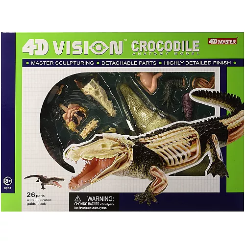 Анатомическая модель Крокодил от 4D Master Анатомическая модель Крокодил от 4D Master