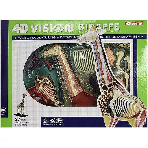 Анатомическая модель Жираф от 4D Master Анатомическая модель Жираф от 4D Master