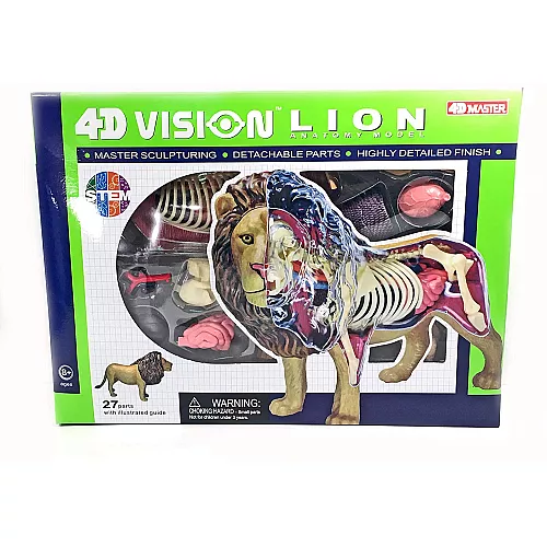 Анатомічна модель Лев від 4D Master Анатомічна модель Лев від 4D Master