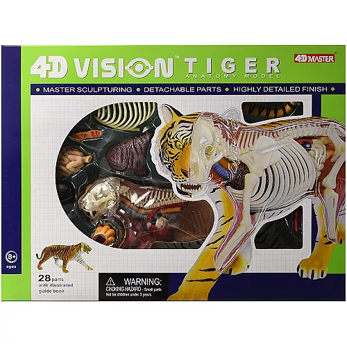 Анатомическая модель Тигр от 4D Master Анатомическая модель Тигр от 4D Master