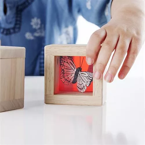 Развивающий набор Цветные блоки (8 шт) от Guidecraft