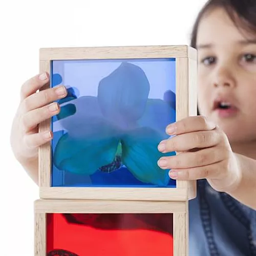 Развивающий набор Цветные блоки (8 шт) от Guidecraft