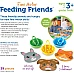 Набір для сортування Нагодуй тварин (39 предметів) від Learning Resources
