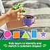 Іграшка сортер Вазони від Learning Resources