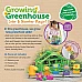 Набор для сортировки и счета Теплица от Learning Resources