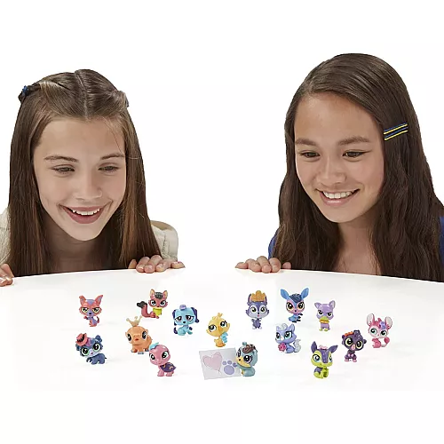 Развивающий набор Домашние питомцы (15 шт) от Littlest Pet Shop Развивающий набор Домашние питомцы (15 шт) от Littlest Pet Shop
