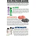 Науковий набір розкопки Космос (12 астероїдів) від MindWare