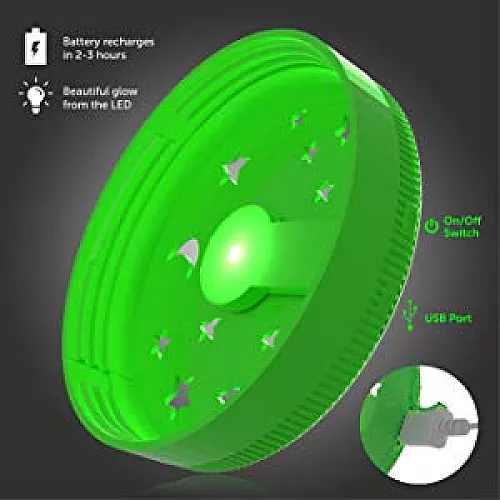 Научный STEM набор Светящийся террариум от Mini Explorer Научный STEM набор Светящийся террариум от Mini Explorer