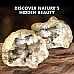 Науковий STEM набір Великі геоди (2 шт) від Discover with Dr. Cool