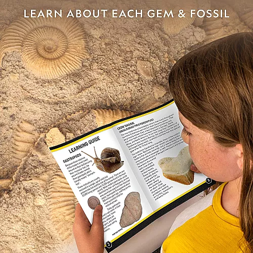 Научный STEM набор Раскопки камни и окаменелости (20 шт) от NATIONAL GEOGRAPHIC Научный STEM набор Раскопки камни и окаменелости (20 шт) от NATIONAL GEOGRAPHIC
