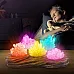 Научный STEM набор Выращиваем цветные кристаллы (8 шт) от NATIONAL GEOGRAPHIC