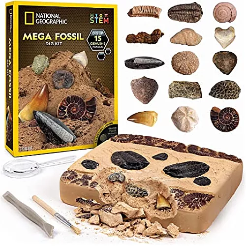 Научный STEM набор Ископаемые и окаменелости от NATIONAL GEOGRAPHIC Научный STEM набор Ископаемые и окаменелости от NATIONAL GEOGRAPHIC