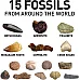 Научный STEM набор Ископаемые и окаменелости от NATIONAL GEOGRAPHIC